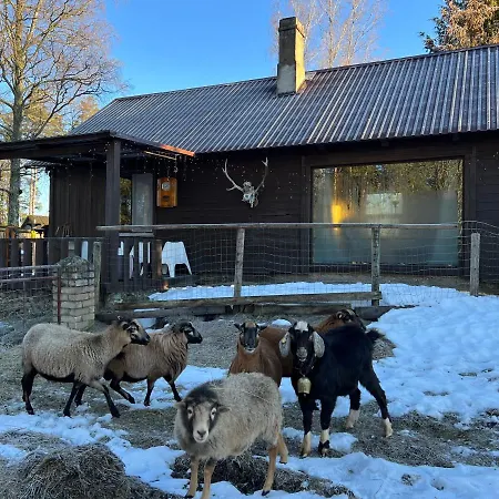 Alojamento de Turismo Selvagem Private Farm Jakuzzi Sauna In The Forest *